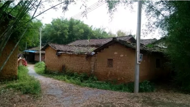 �������؈�(ji��n)���h�����I(l��ng)������(zh��n)��ؚ�A�W(xu��)�Ӵ�W(xu��)��(m��ng)