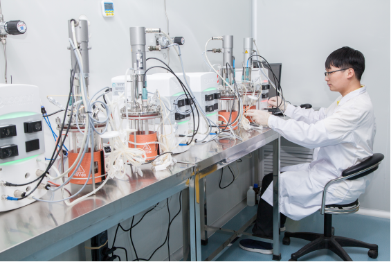 ���ҽ����������@�ݙ�(qu��n)������������ڶ�